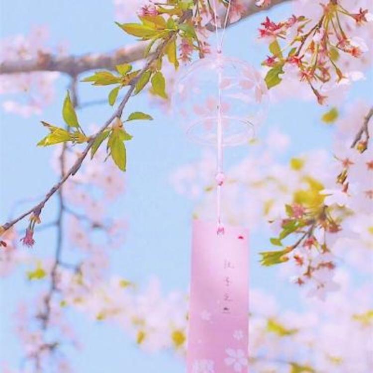相乐总三（身份：赤报队队长、左之助师父） - 独立电影小众在线观看 - 网络直播